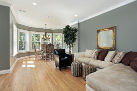 Color fads and interior painting